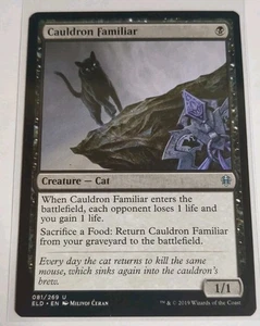 Caldero Trono Familiar de Eldraine 081/269 Magic The Gathering Poco Común - Imagen 1 de 1