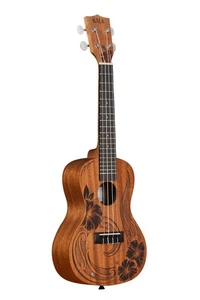 Kala, 4-String Ukulele, Right, Natural, Concert Electronics - Picture 1 of 6