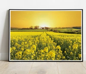 Hermosa foto/póster de decoración de pared de escena de naturaleza de hasta 36" - Imagen 1 de 2