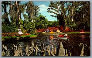 Postcard Cypress Gardens Florida 1962 Cypress Knees Ladies in Dresses Boat - Picture 1 of 2