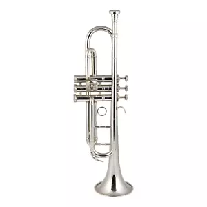 Musical Instrument Trumpet All Colours Brass Woodwing For Beginner or V Day - Picture 1 of 5