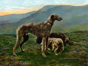 HIRSCHHUND CHARMANTE HUNDEGRUSS NOTIZKARTE SCHÖNE HUNDE IN LÄNDLICHER UMGEBUNG - Bild 1 von 1