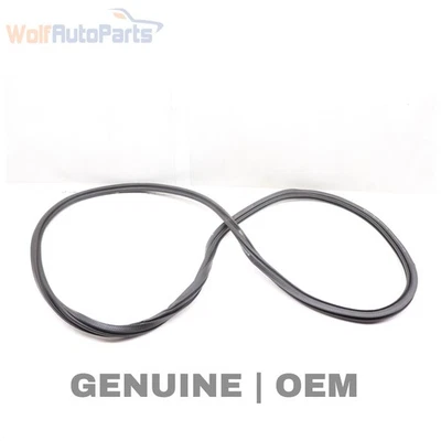 2022-2024 AUDI RS3 - Front Inner DOOR SEAL / Weather Stripping 8Y0831721B - Image 1 of 4