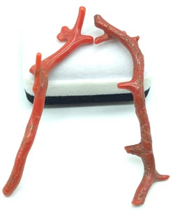 2  Pcs Red Coral Polished Branch 100%Natural Italian Coral Branch Jewelry - Picture 1 of 9