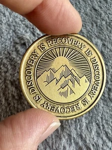 12-Step Recovery Coin, Medallion, Chip, Alcoholics Anonymous AA, Serenity Prayer - Picture 1 of 2