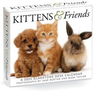 Carousel Calendars,  Kittens and Friends 2025 Desk Calendar - Picture 1 of 3
