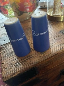 Devon Blue Pottery Cruet Set - Picture 1 of 8