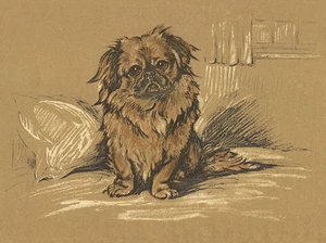 TIBETAN SPANIEL CHARMING DOG GREETINGS NOTE CARD CUTE SITTING DOG - Picture 1 of 1