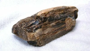 3 libras 5,3 oz ópalo de sílice del norte de Nevada espécimen fósil madera de ágata cabina áspera - Imagen 1 de 6