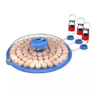 80 Egg Incubator Fully Automatic Incubator Machine for Hatching Eggs 120 Volt - Picture 1 of 5