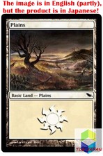 Magic: The Gathering MTG Jpver Foil Plains (283) SHM Basic Land