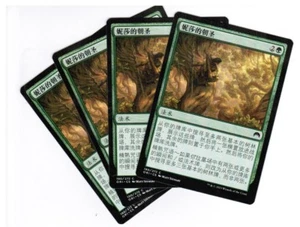 4x Nissa's Pilgrimage Magic Origins Chinese Unplayed NM Cards - Picture 1 of 1