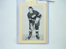 VINTAGE HOCKEY PHOTO 1944/64 BEEHIVE CORN SYRUP GROUP DETROIT GORDIE HOWE NO213