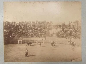 Fotografía de albúmina taurina de 1888 en Orán Argelia por Jean Geiser Suiza - Imagen 1 de 4