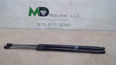 Ford Edge 2015-2017 conjunto de elevación - gasolina, conjunto de amortiguador izquierdo y derecho ft4Z-58406A11-A Foto 1 de 4