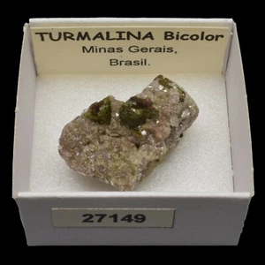 TURMALINA Bicolor (Minas Gerais, Brasil) #27149 / Tourmaline - Bild 1 von 1