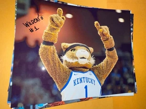 the Wildcat Kentucky Maskottchen signed 8x10 Foto - Bild 1 von 1