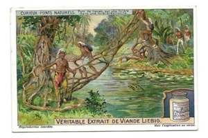 Pont de lianes sur une rivière Brésil - - Chromo Liebig - Trade card - Imagen 1 de 2