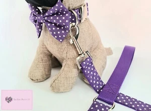 Purple polka dot/spotty dog collar, lead and bow tie set - Picture 1 of 5