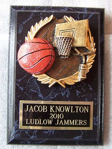 BASKETBALL TROPHÄE AUSZEICHNUNG PLAKETTE KOSTENLOSE INDIVIDUELLE GRAVUR "UNTERSTÜTZEN SIE DEN TIERARZT" - Bild 1 von 3