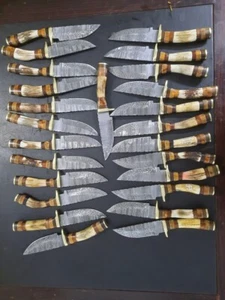 LOT OF 10, 8" inches Handmade Damascus Steel Skinner Knives in Stag Horn Handle. - Picture 1 of 6