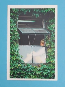 1987 Question Of Sport UK Chris Evert 🎾 - Bild 1 von 2