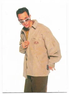Retratos de Howie Dorough #195 1998 Striker Backstreet Boys casi nuevo-como nuevo  - Imagen 1 de 2