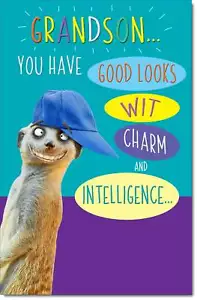 Doodlecards Grandson Birthday Card Funny - Picture 1 of 4