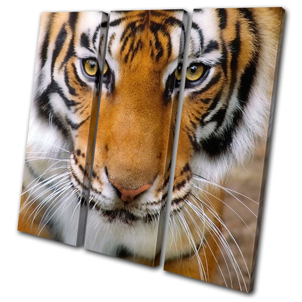 Arte de pared de lienzo agudo cara de tigre de animales impresión de imagen VA Foto 1 de 1
