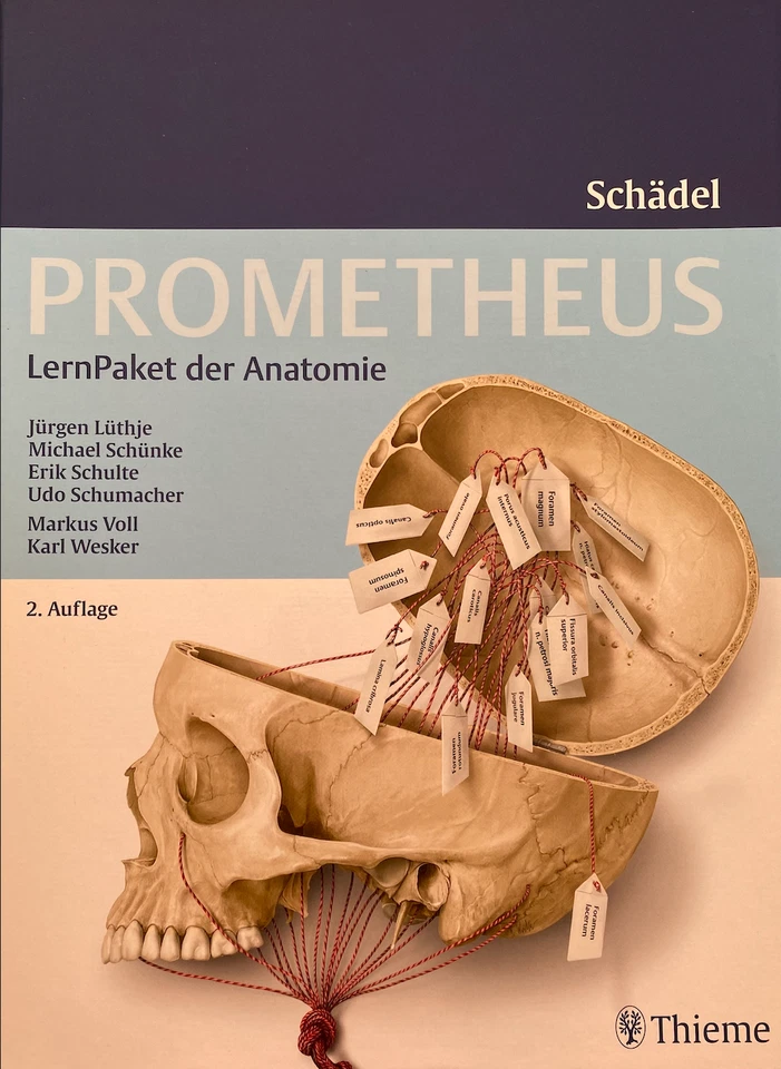 Prometheus LernPaket der Anatomie: Schädel von Lüthje, J | Zustand gut - Bild 1 von 1