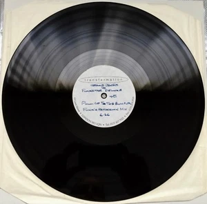 GRACE JONES Pull Up To The Bumper RARE 12" ACETATE DJ PROMO SINGLE Club Anthem! - Picture 1 of 4