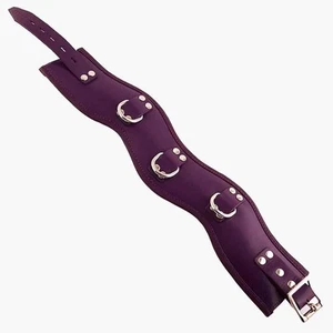 Rouge Leather Posture Collar Black Red Pink Purple | BDSM Restraint D-Rings - Picture 1 of 13