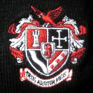 CARDINAL STRITCH Fighting Cardinals youth XL school sweater V-neck CSHS kids - Picture 1 of 3