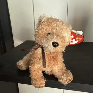Ty Beanie Babies Scampy Curly Brown Terrier Puppy Dog 2003 Heart 2004 Tush Tag - Picture 1 of 12