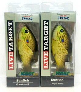 (MENGE 2) LIVETARGET SONNENFISCHE 3,5 ZOLL 5/8 OZ TOPWATER KÖDER - BRONZE KÜRBISKERNE - Bild 1 von 2