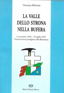 Beltrami Vincenzo La valle dello Strona nella bufera - Foto 1 di 1
