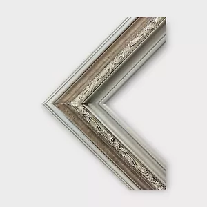 16 x 20 In stock ready to ship, Classic style wood frame, brushed silver leaf - Picture 1 of 9