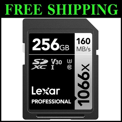 Professional 256GB SD Memory Card - Full-HD, U3, DSLR - Image 1 of 4