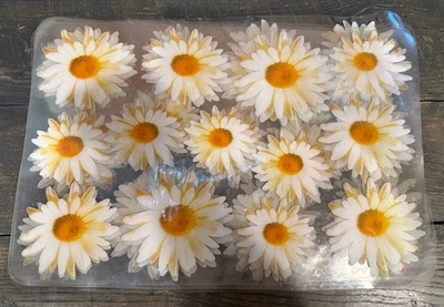 复古 6 件套雏菊花卉半透明塑料桌椅 容易清洁 复古 — 第 1/2 张图片