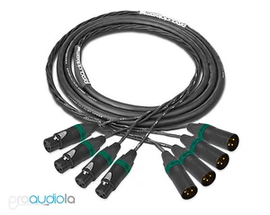 Standard 4 Channel Mogami 2931 Snake | Neutrik Gold XLR with Green Rings | 2 ft. - Picture 1 of 1