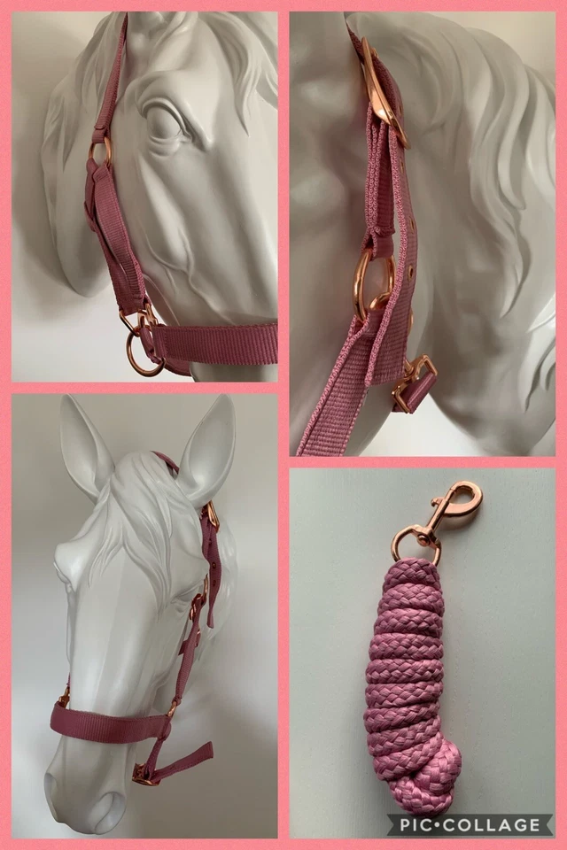 Headcollar and Lead Rope Set, Rose Gold & Pink, COB, FREE UK Postage - Image 1 of 4