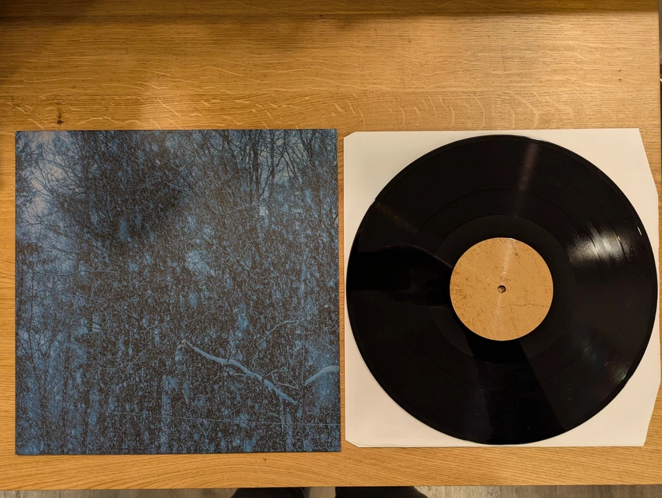 JESU - NEVER Vinyl  Record - Godfless Justin Broadrick UK Shoegaze experimental Foto 1 de 1