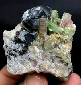 115 Grams Very Unique Quality Tourmaline with Quartz Specimen @ Afghan - Picture 1 of 5