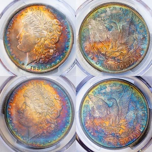 1884-O PCGS MS63+ MORGAN $ - STUNNING SPECTRUM - RAINBOW EXAMPLE (VIDEO) - Picture 1 of 8