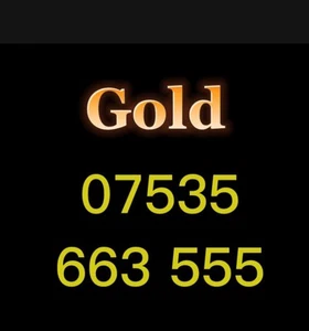 VIP Gold Mobile Number Easy Memorable SIM Platinum Diamond Business EE - Zdjęcie 1 z 1