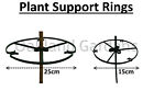 Plant Support Rings for Garden Canes Flower Ties Ring Frame Pots Holder Clip