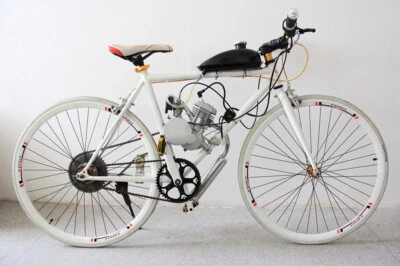 2 Tiempos 50cc Bicicleta Motocross Gas Gas Motorizado Bicicleta Motor Kits Empujar Foto 1 de 4