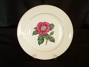 Heinrich & Co Bavaria 7 7/8" Camellia Red Flower Salad Plate - Picture 1 of 3