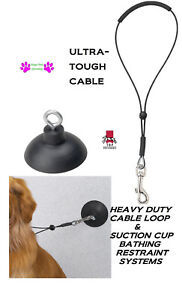 Pet Dog Cat Grooming BATHTUB SUCTION CUP & 19" Loop Noose RESTRAINT "Hold-em"