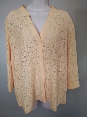 Popover de encaje amarillo limón núcleo de casa jardín campo manga larga talla 2X Foto 1 de 4